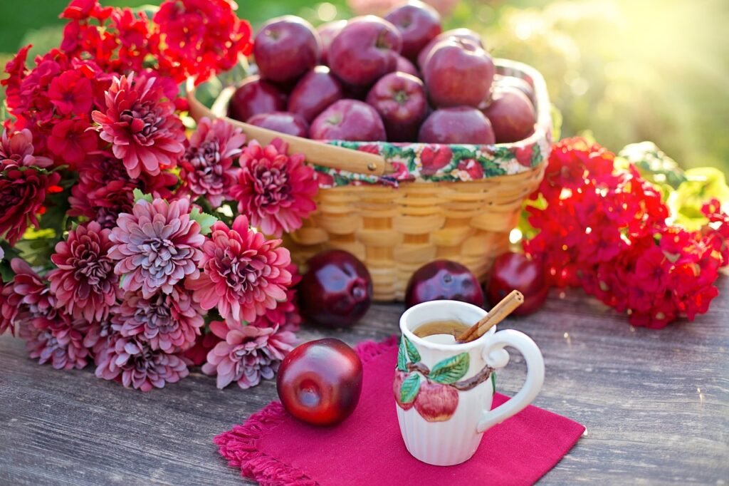 apples, apple cider, fruits, autumn, fall, fall scene, autumn scene, still life, picnic, apple cider, apple cider, apple cider, apple cider, apple cider, picnic, picnic