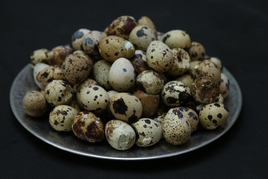 High-Protein Snacks to Keep You Energized